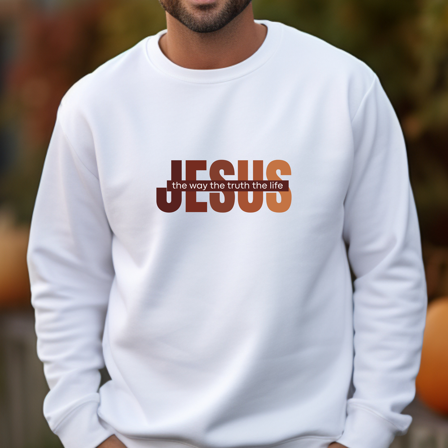 Jesus The Way The Truth The Life Sweatshirt, Womens Religious Sweatshirt, Faith Sweatshirt, Christian Sweatshirt, Bible Verse, Jesus Lover