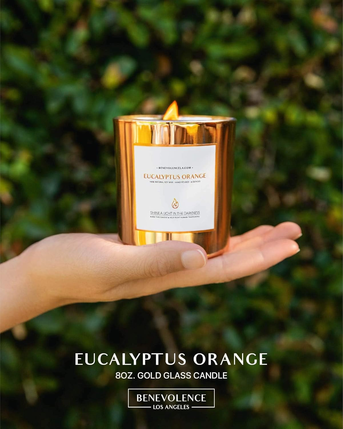 🕯️ Relax & Refresh: Eucalyptus Orange Wood Wick Candle for Home & Aromatherapy! 🌿✨ (8oz, 45-Hour Burn)