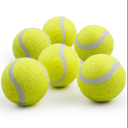 🐾 Playtime Fun: 6-Pack Dog Tennis Balls for Fetch & Mini Ball Launcher! 🎾🐶 (For Puppies & Small Dogs)