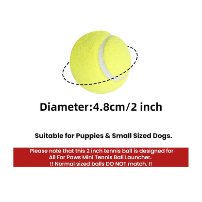 🐾 Playtime Fun: 6-Pack Dog Tennis Balls for Fetch & Mini Ball Launcher! 🎾🐶 (For Puppies & Small Dogs)