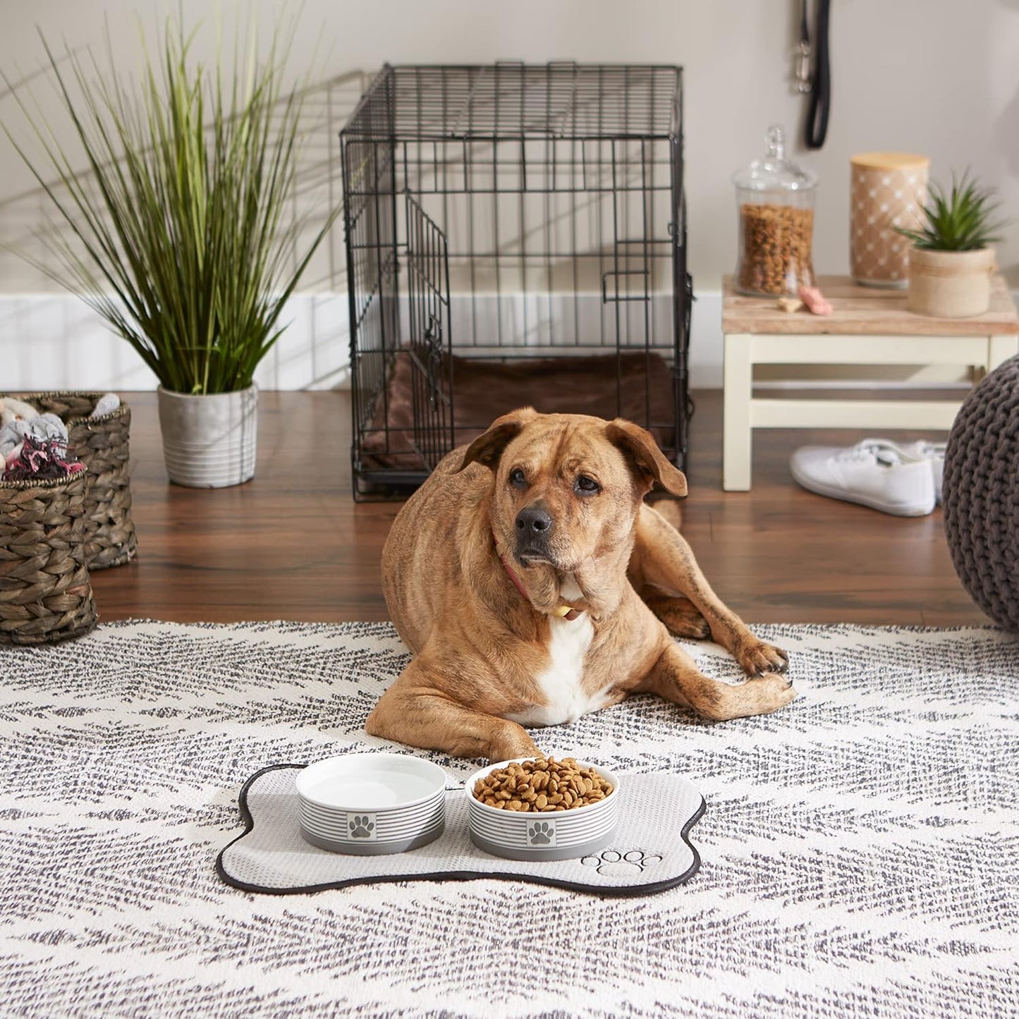 Style Meets Function for Your Pet! 🐾 Paw & Patch Ceramic Pet Collection | Medium Set in Gray – Perfect for Treats or Pet Accessories, 2 Pieces!